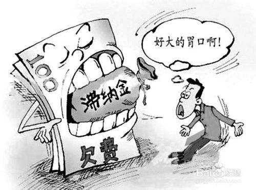 社保滯納金怎么計(jì)算？ 第1張